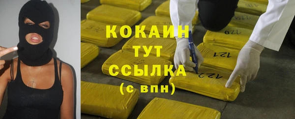 молекула духа Богородск