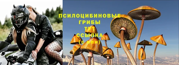 a pvp Богданович