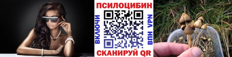 сайты даркнета официальный сайт Коломна Галлюциногенные грибы MAGIC MUSHROOMS hydra ONION