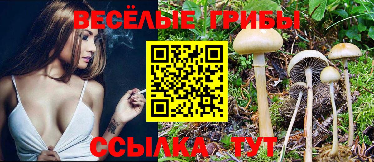 Галлюциногенные грибы Magic Shrooms Коломна